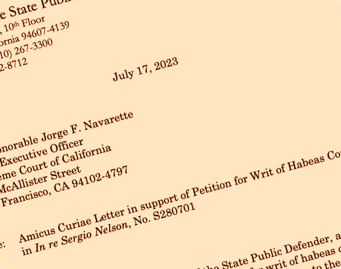 Part of the Nelson (Sergio Dujuan) on Habeas Corpus document
